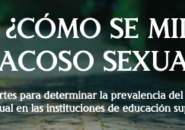 libro: ¿Cómo se mide el acoso sexual? Aportes para determinar la prevalencia del acoso sexual en las instituciones de educación superior